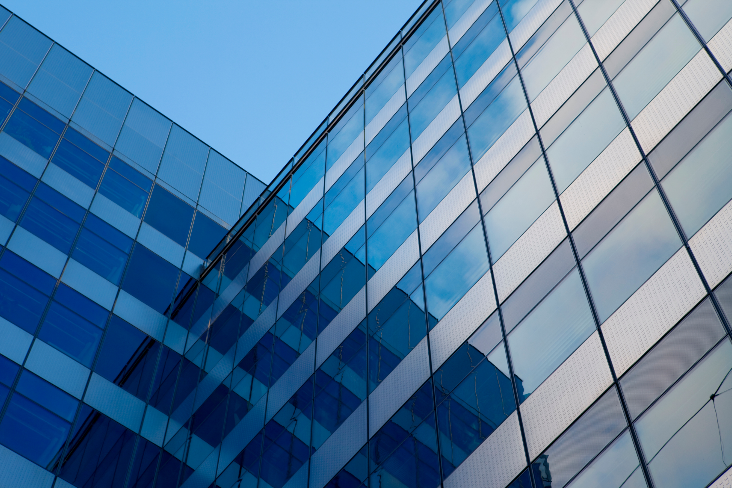 Daniel Zugman OAB SP