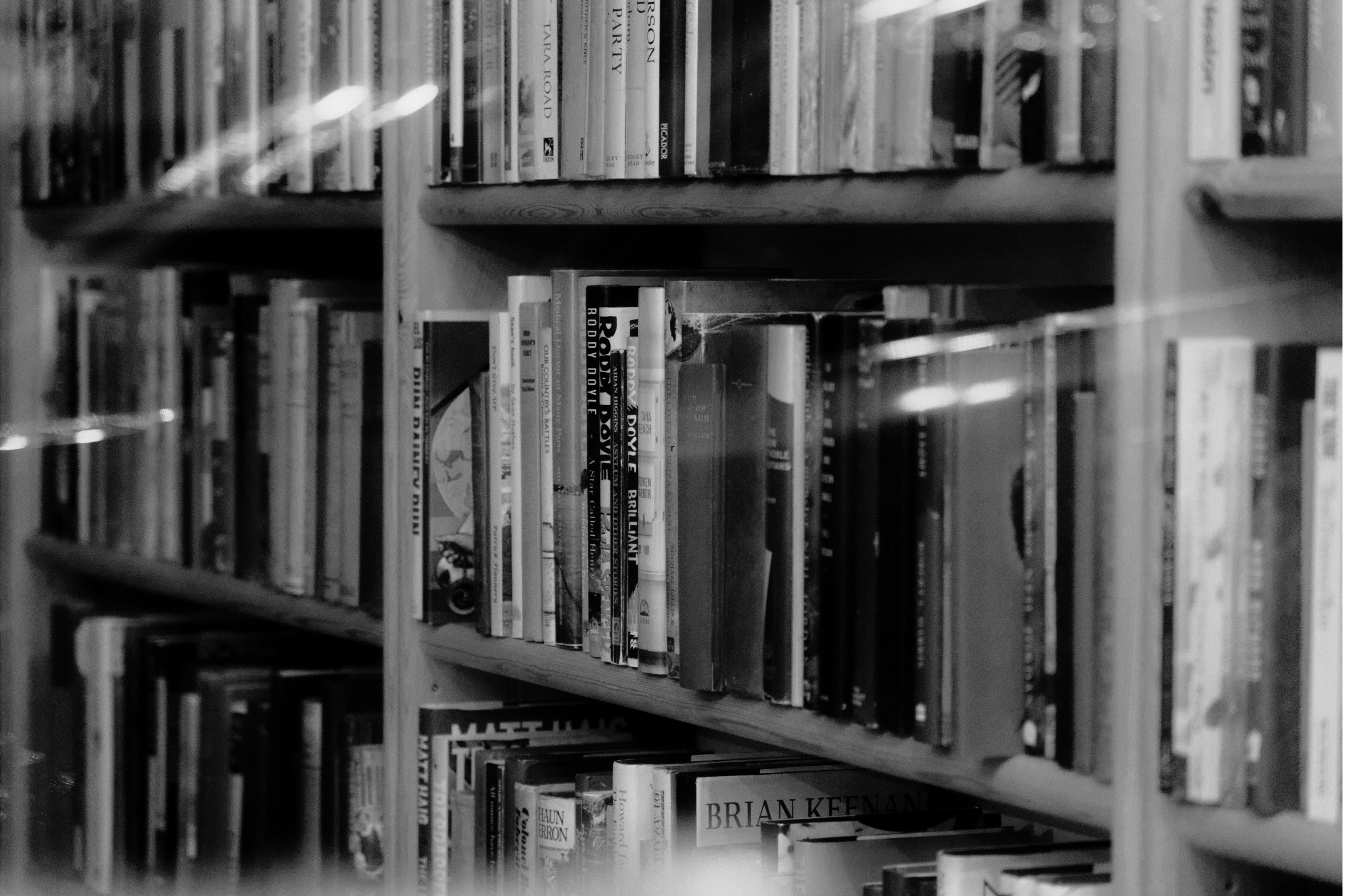 Autores Processo Societário V