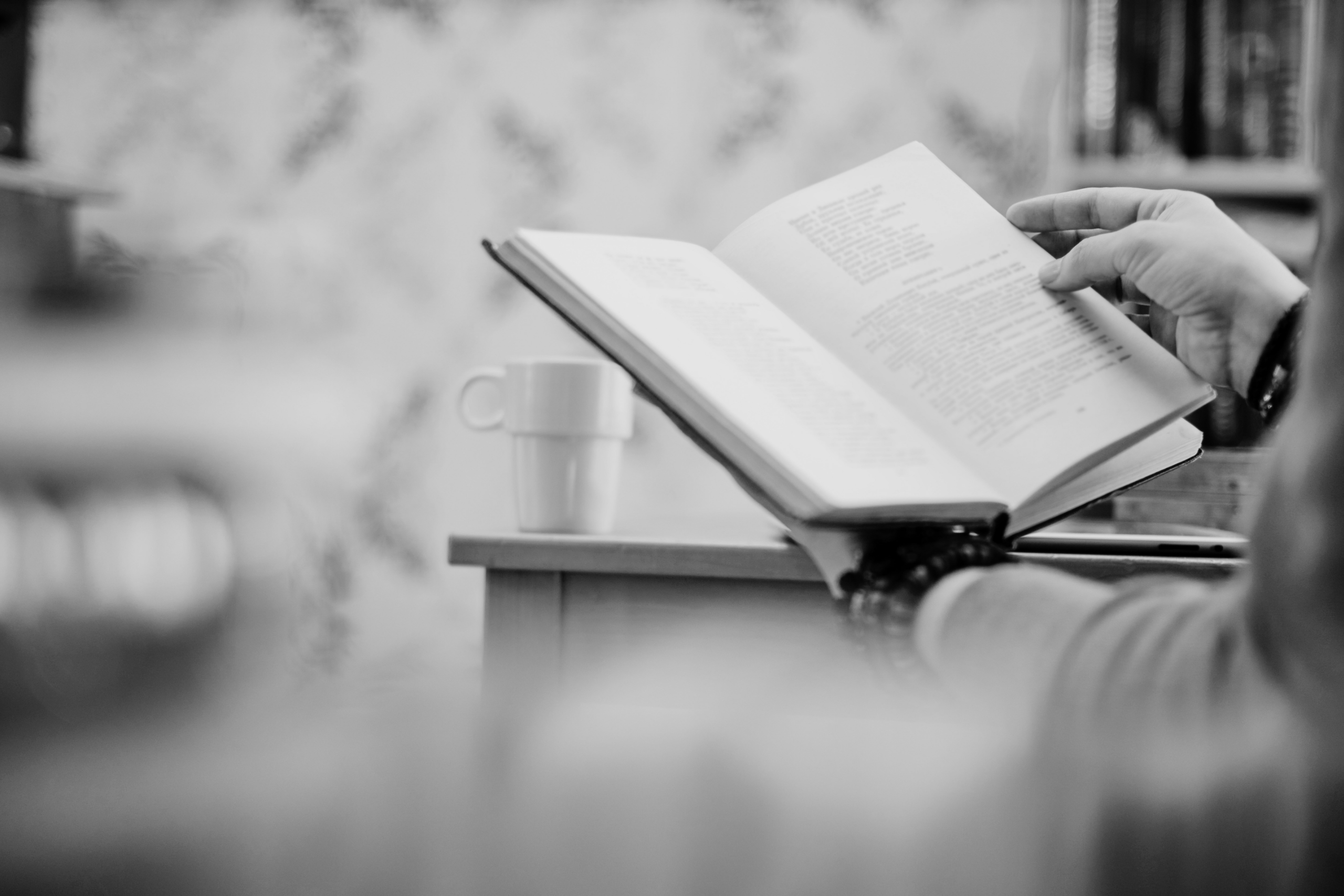 Livro Insolvência Empresarial BVZ