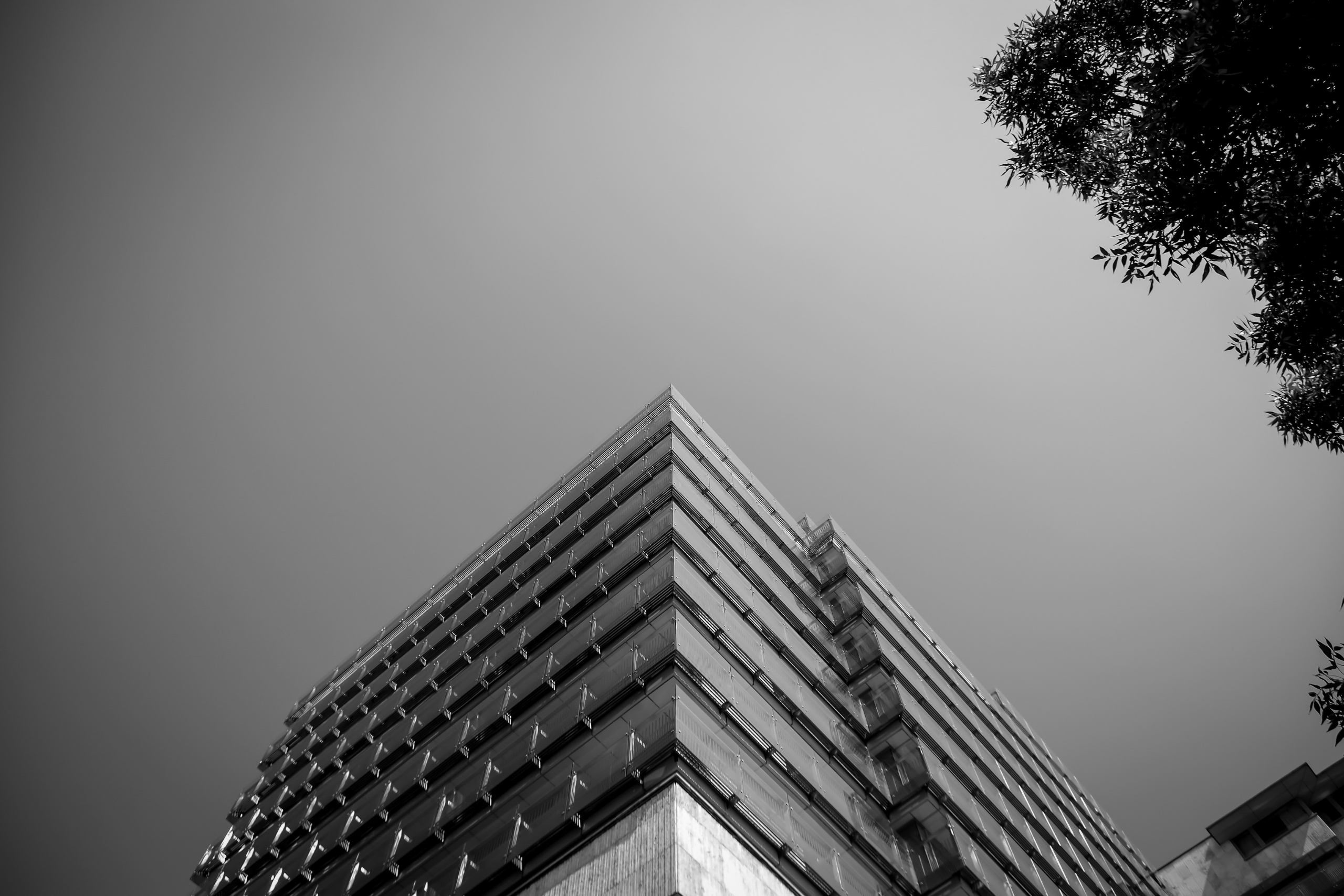 aquisição da Magicel